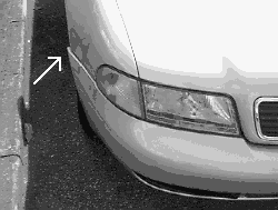 �A�N�V�f���g�ʐ^