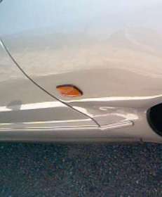 �A�N�V�f���g�ʐ^