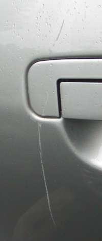 �A�N�V�f���g�ʐ^