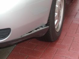 �A�N�V�f���g�ʐ^