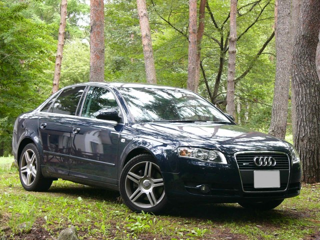 My Audi �ʐ^