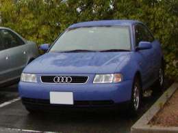 �I�t�~�̎ʐ^