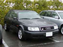 �I�t�~�̎ʐ^