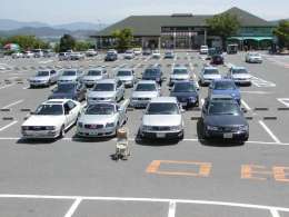 �I�t�~�̎ʐ^