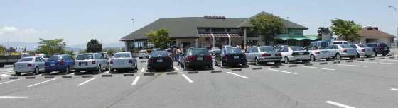 �I�t�~�̎ʐ^