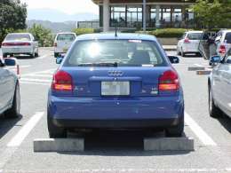 �I�t�~�̎ʐ^