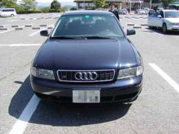 �I�t�~�̎ʐ^