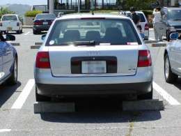 �I�t�~�̎ʐ^