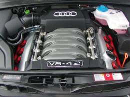 �I�t�~�̎ʐ^