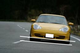 �I�t�~�̎ʐ^