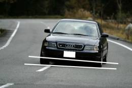 �I�t�~�̎ʐ^