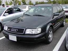 �I�t�~�̎ʐ^