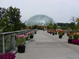 �I�t�~�̎ʐ^