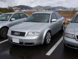 �I�t�~�̎ʐ^