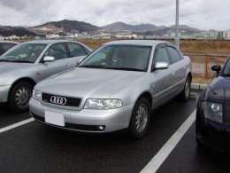 �I�t�~�̎ʐ^