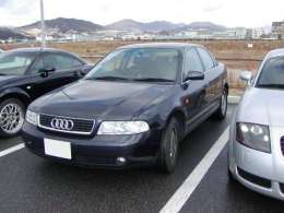 �I�t�~�̎ʐ^