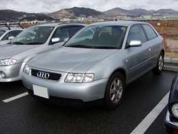 �I�t�~�̎ʐ^