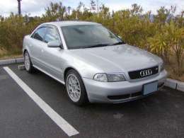 �I�t�~�̎ʐ^