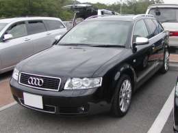 �I�t�~�̎ʐ^