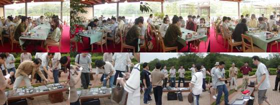 �I�t�~�̎ʐ^