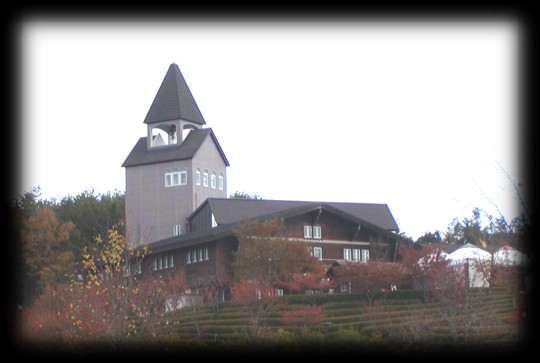 �I�t�~�̎ʐ^