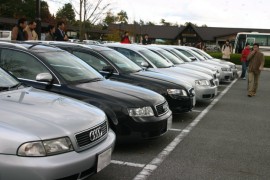 �I�t�~�̎ʐ^