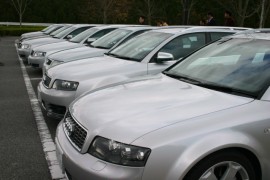 �I�t�~�̎ʐ^