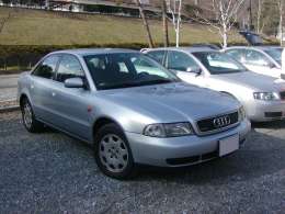 �I�t�~�̎ʐ^