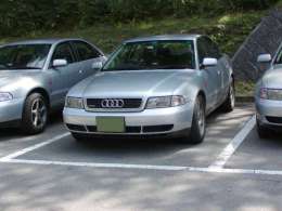 �I�t�~�̎ʐ^