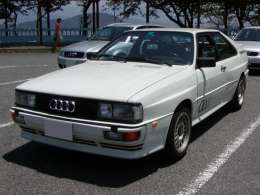 �I�t�~�̎ʐ^