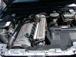 �I�t�~�̎ʐ^