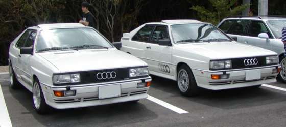 �I�t�~�̎ʐ^