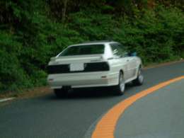 �I�t�~�̎ʐ^