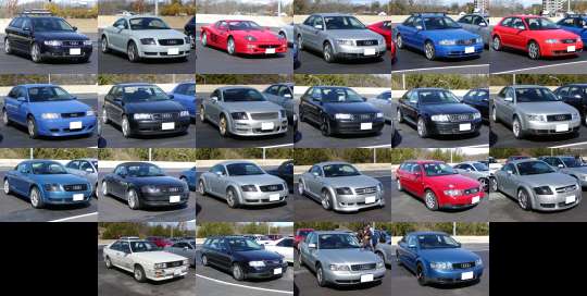 �I�t�~�̎ʐ^