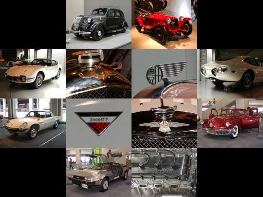 �I�t�~�̎ʐ^