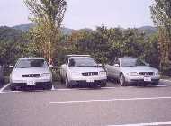 �I�t�~�̎ʐ^