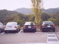 �I�t�~�̎ʐ^