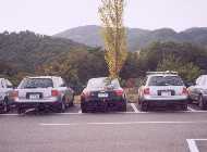 �I�t�~�̎ʐ^