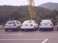 �I�t�~�̎ʐ^