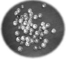 �r�[���܂̎ʐ^