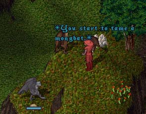 mongbat.jpg