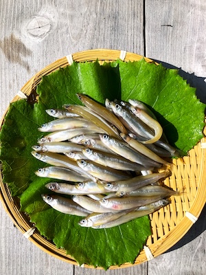 料理長イメージ