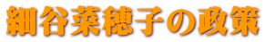 細谷菜穂子の政策