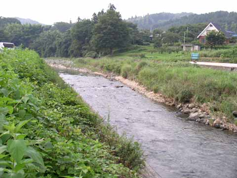 フライdeオイカワ ここで遊んでます 成木川