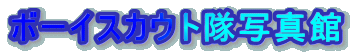 �{�[�C�X�J�E�g���ʐ^��