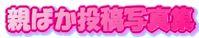�e�΂����e�ʐ^�W