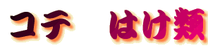 ���Ă͂���
