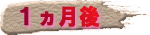 �ꃕ����