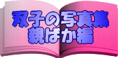 �o�q�̎ʐ^�W