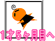 �P�˂T�����ڂ�